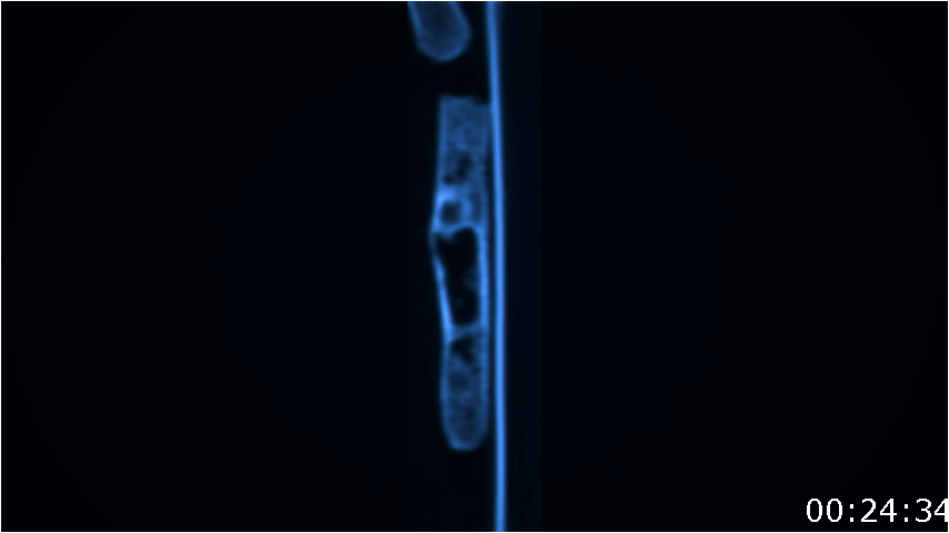 [Image: d83d8xmij8ow.png]