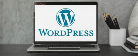 The WordPress Professional: A study guide for freelancers