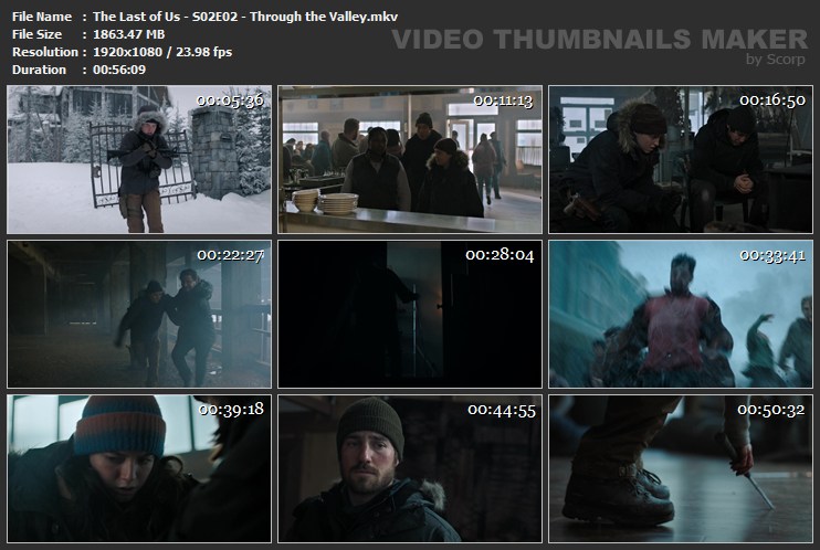 The Last of Us - S02E02 - Through the Valley.mkv