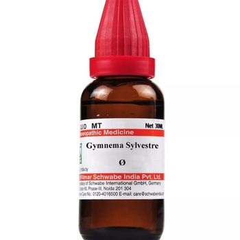 Willmar Schwabe India Gymnema Sylvestre 1X (Q) (30ml)