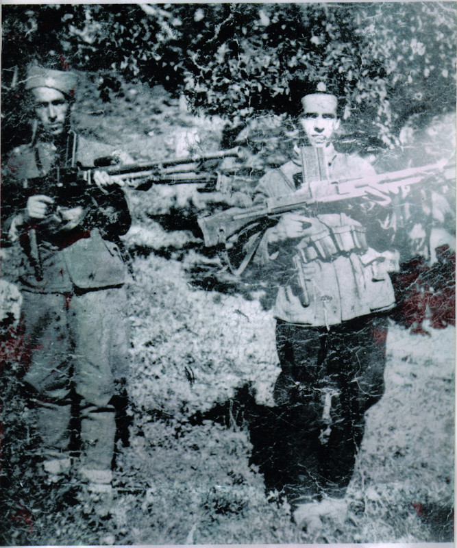 [Слика: S-leva-na-desno-1-Milivoje-Petrovic-koji...orbama.jpg]