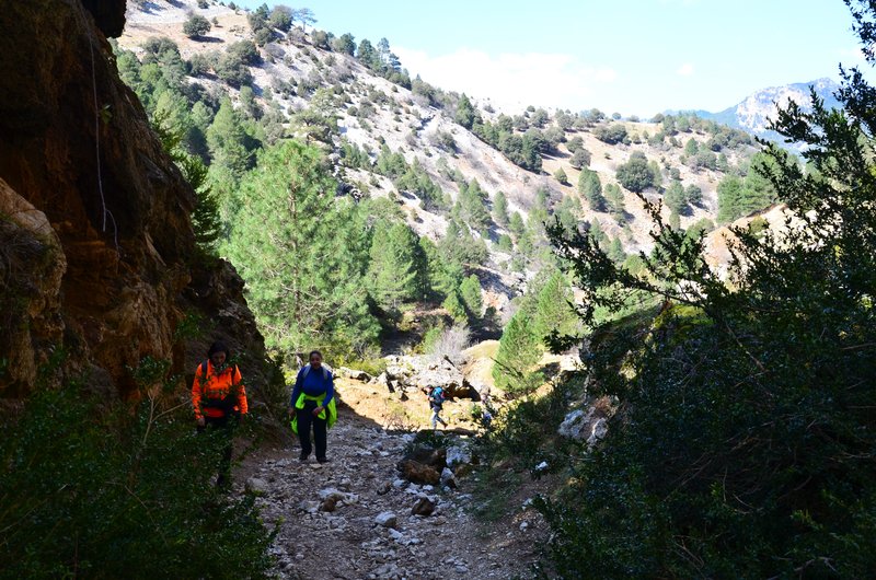 RUTA RIO BOROSA-12-3-2016-JAEN - Paseando por España-1991/2016 (103)