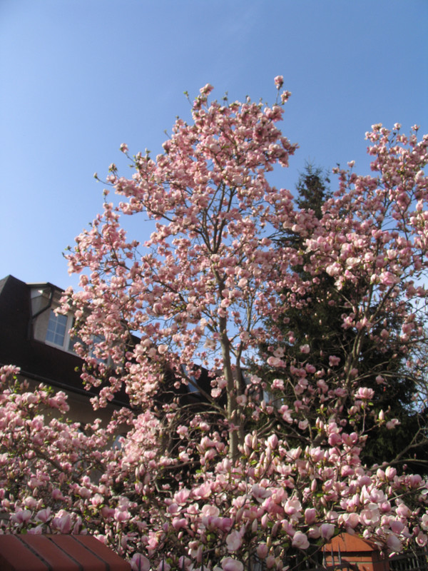 17 апреля 2025 035