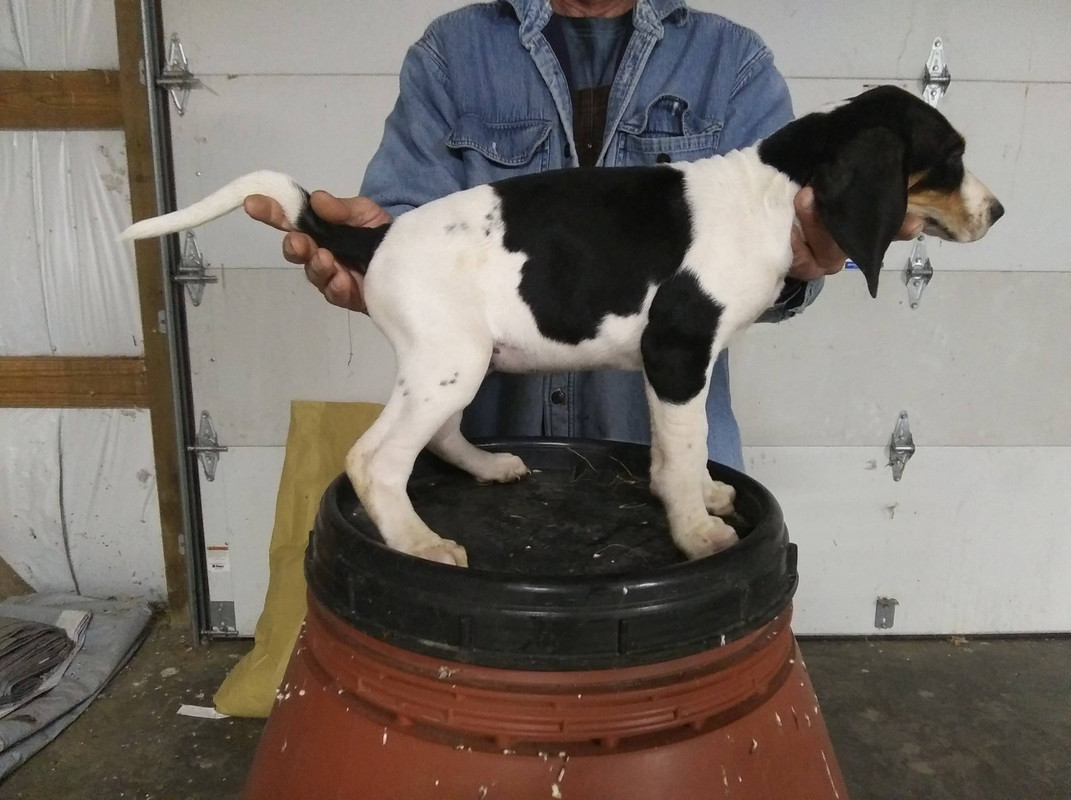 945F760A-66A5-49E0-9090-9A7D4639C419