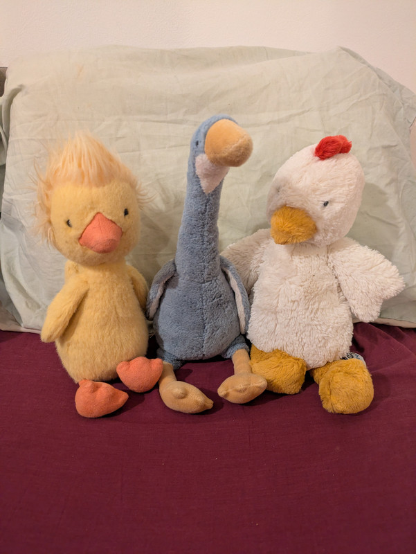 PXL 20260220 065943774 MP