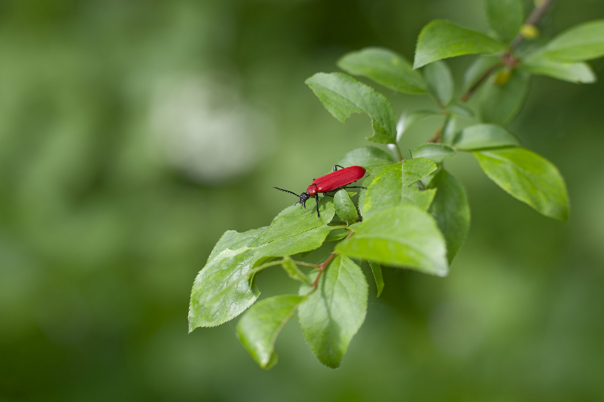 _D9A6741_DxO (2024-05-14T20_01_38.512)