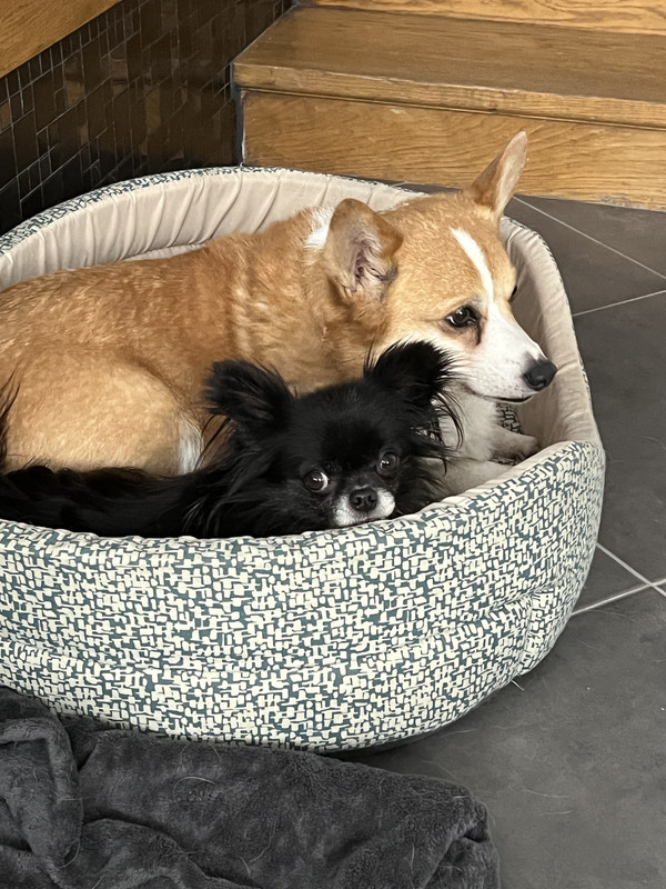 [Image: 88-EC01-AC-1-FCE-4-BE1-A4-B4-814591-A6-FF6-A.jpg]