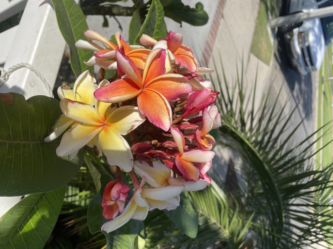 9B7B2774-AAD4-4701-AD7B-03AEA3DDA8EA