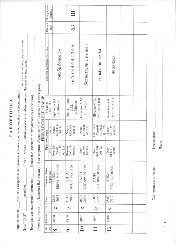 Рапортичка1