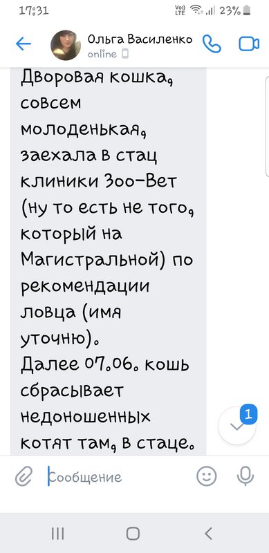 Screenshot-20220623-173135-VK.jpg