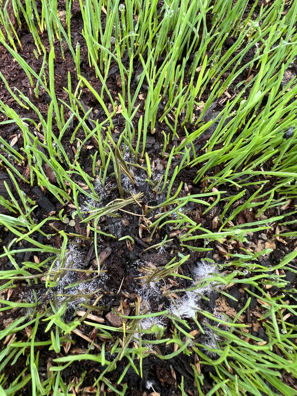 979A6656-9AC2-4DEC-A4B6-F88398B96E2D