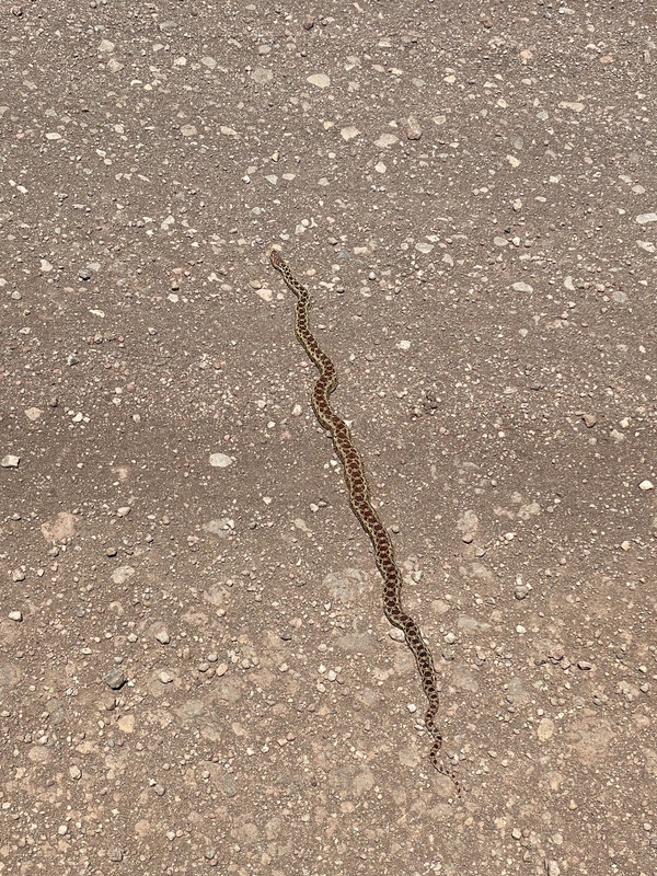 E080729F-E99F-4BDF-8C3B-5DCC401B14FB