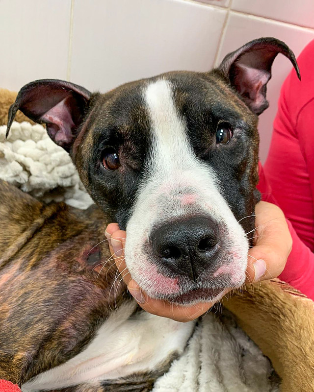 8698B464-EB76-4B4A-8B10-BCA50F5D0D9A