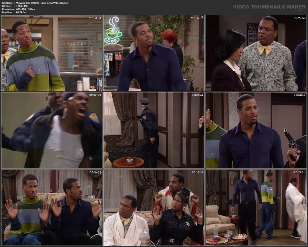 Wayans Bros S04e09 (Can I Get A Witness).mkv