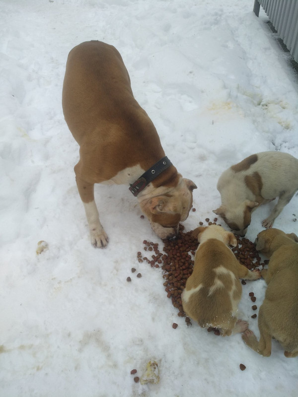 1A7748FB-F817-4625-98FB-A1B602BA338F