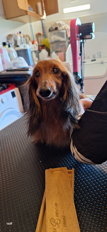 [Image: 20250305-153004.jpg]