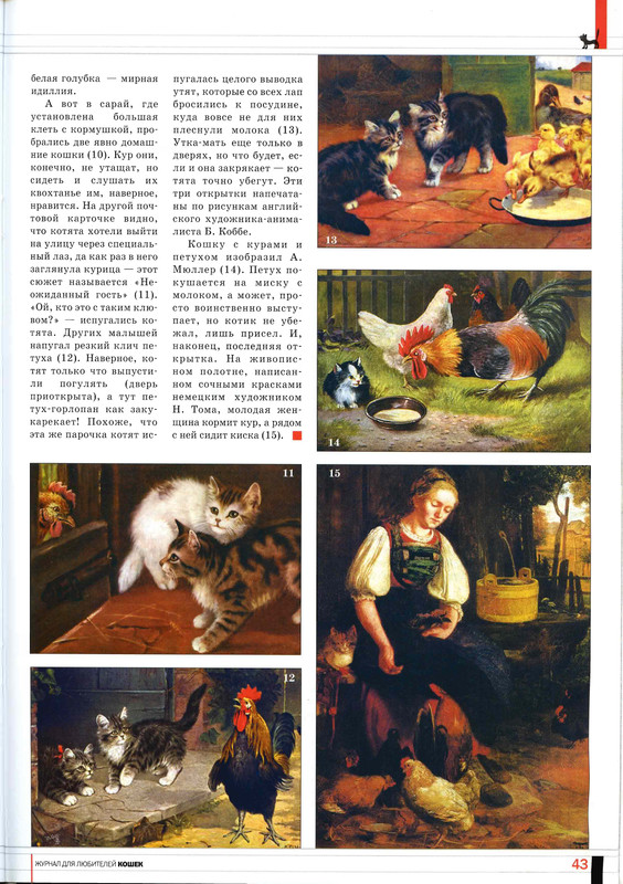 Друг кошек 2007-05-42