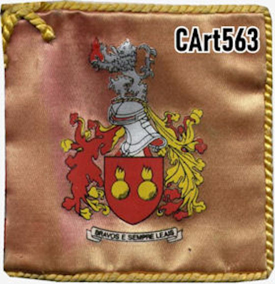 CArt563