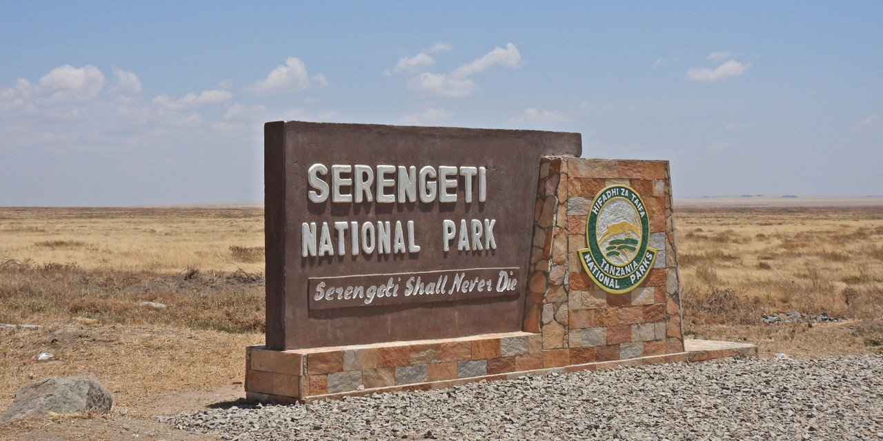 Serengeti Safari