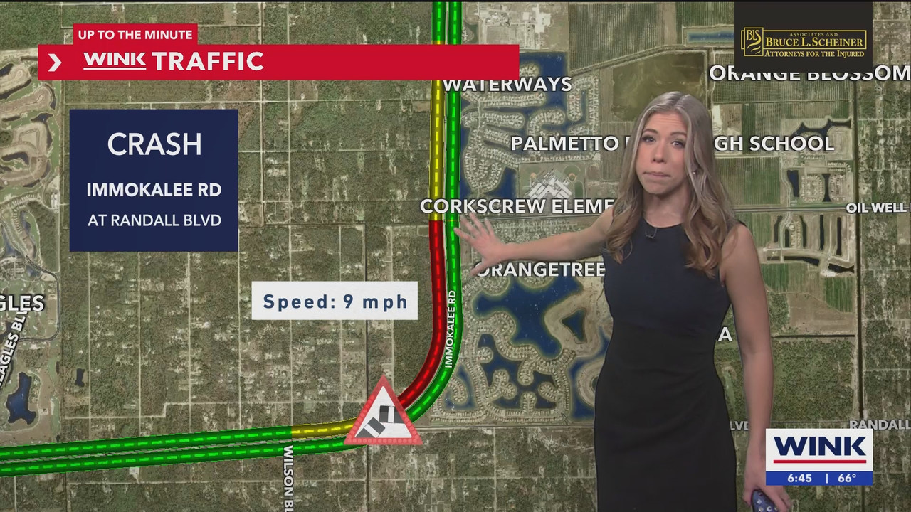 WINK News at 630am_20250212_11301200.ts_snapshot_15.41.875