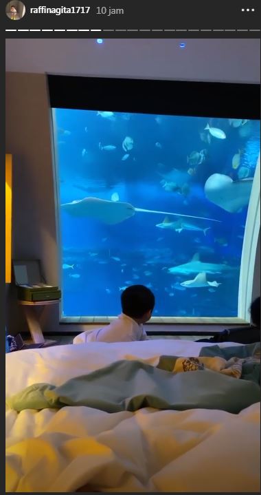 Rafathar terus memandangi kaca kamar hotel dengan pemandangan bawah laut