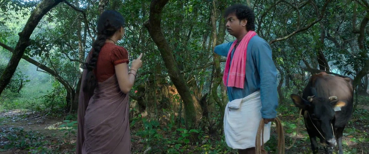 vlcsnap 2026 02 14 10h12m02s099