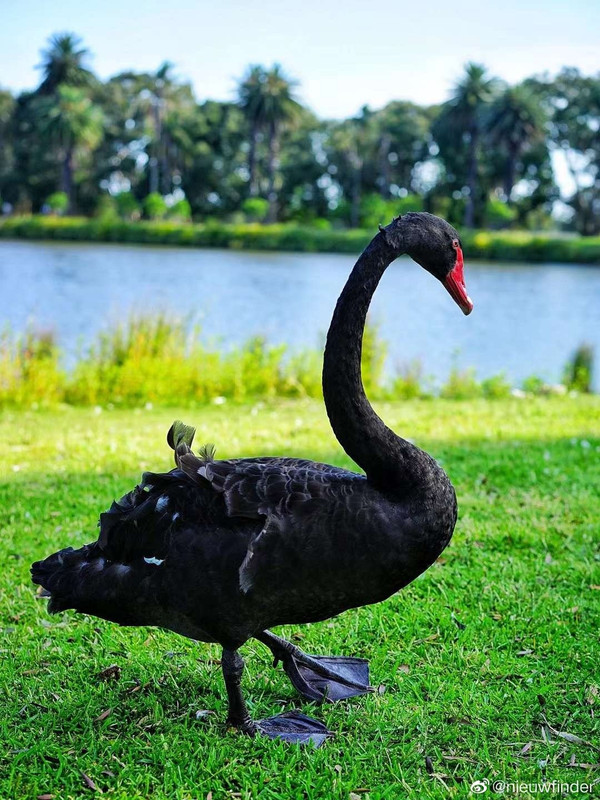 AF28C6F5-81C3-482F-9A5D-411E8F1484BF