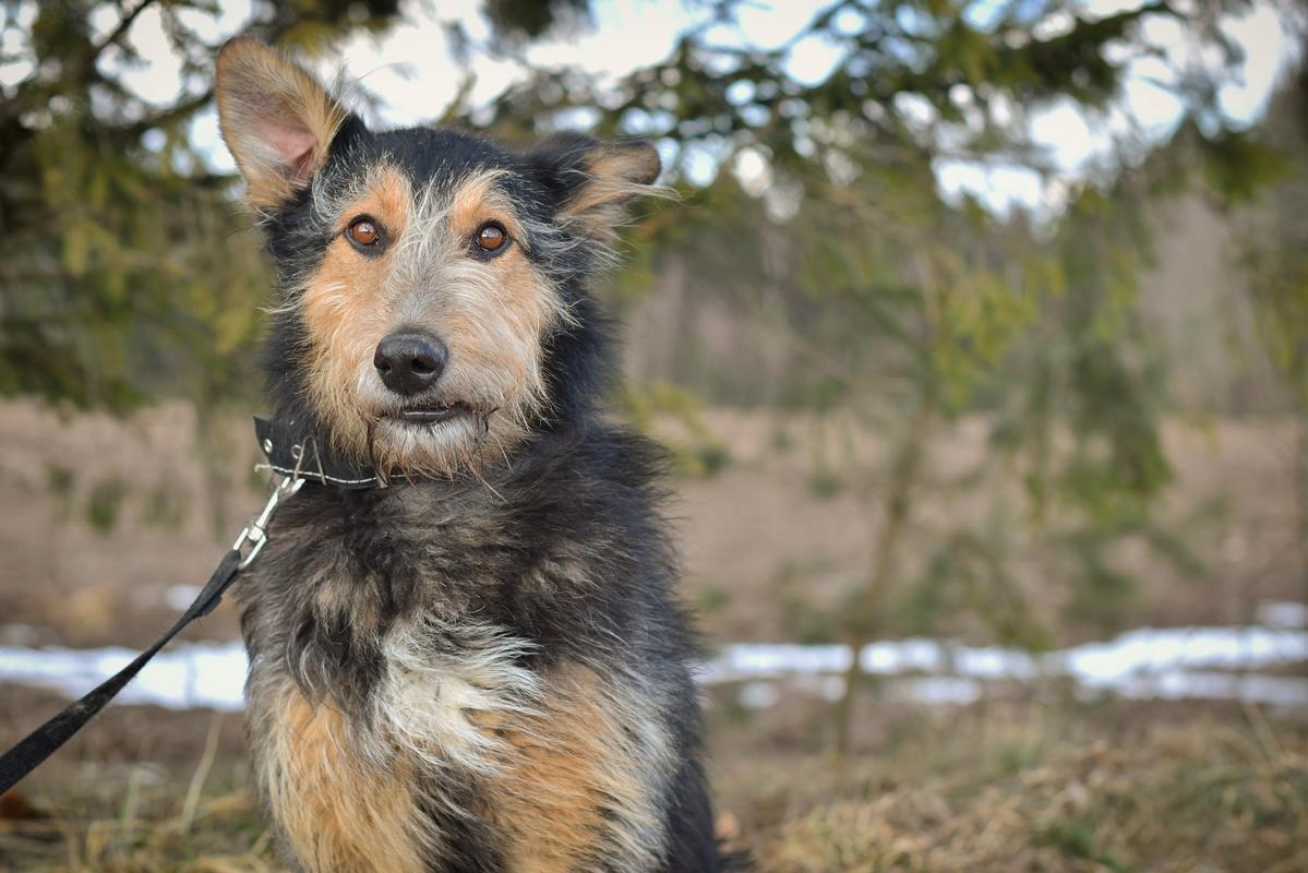 158E6B0A-4248-44CB-B510-E84E32D3339A