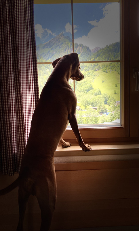 5BF02572-B362-45E5-903C-97E9988771C5