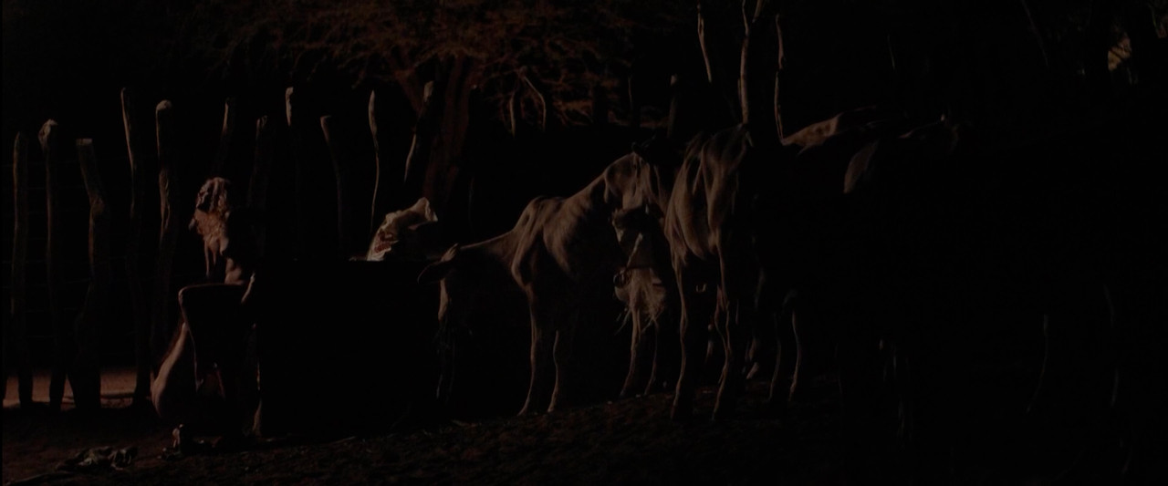 The.Neon.Bull.00_07_58_09.Still052