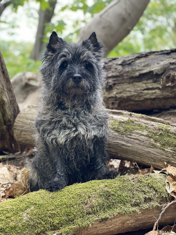 AB676A49-5C61-41B7-A037-3ECF0AA27557