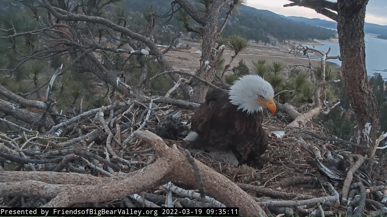 Webp.net-gifmaker (8)