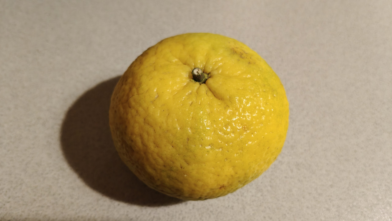 IMG20260316190917