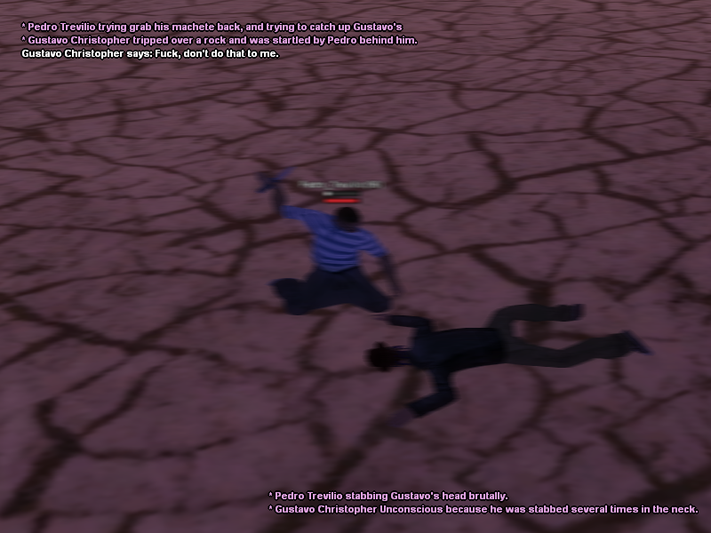 13.png