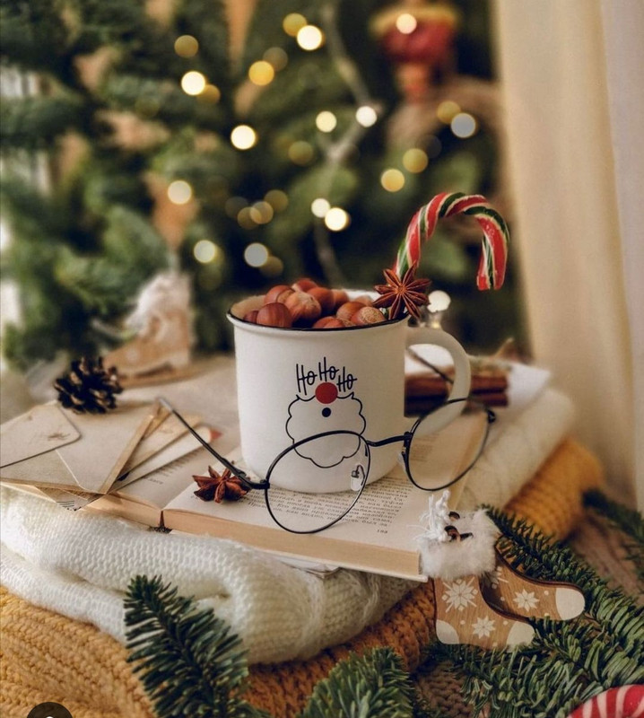 Screenshot_20231210_171108_Instagram