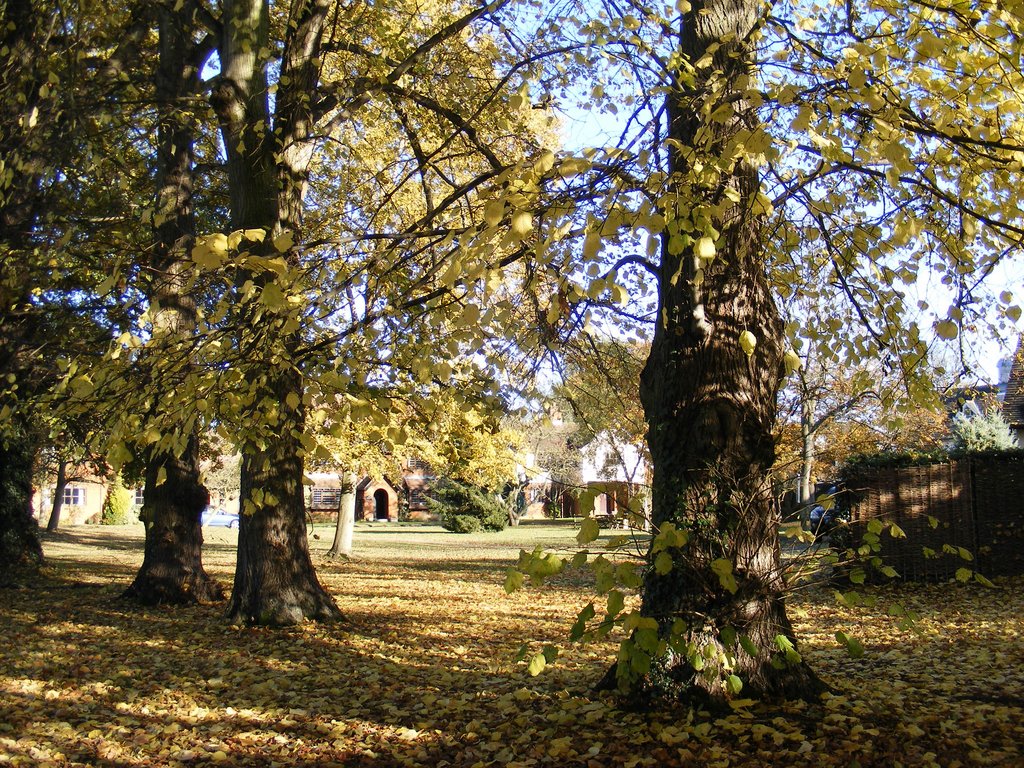 DSCF0700.jpg
