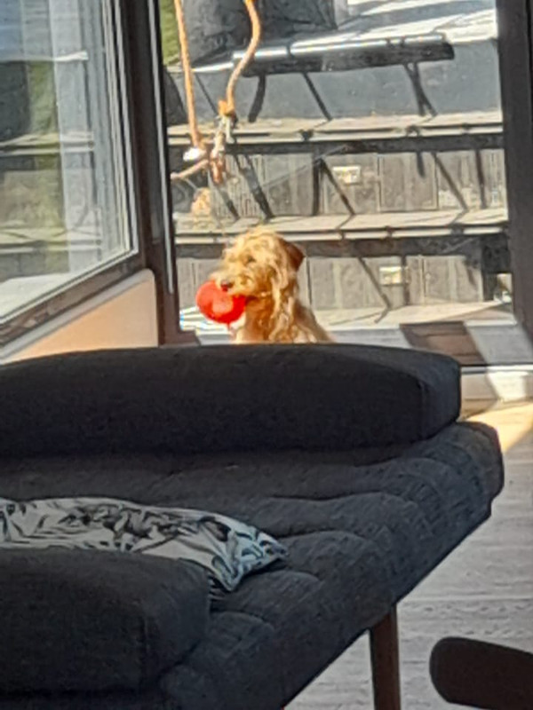 [Image: IMG-20251117-WA0007.jpg]