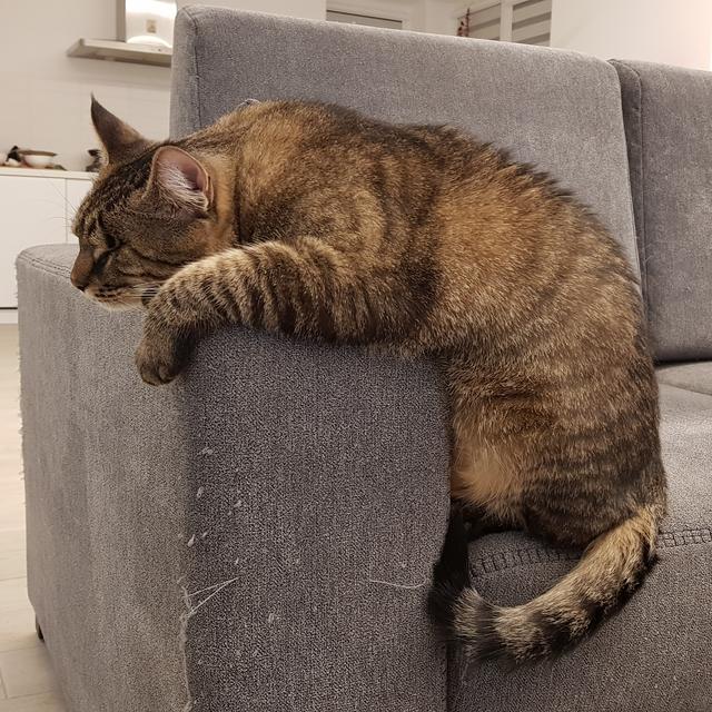 20190316-185800.jpg