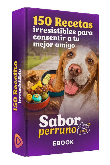 Platillo casero para perro