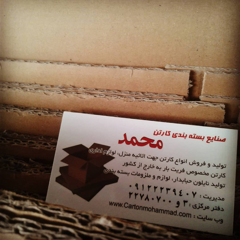 carton-mohammad (197)