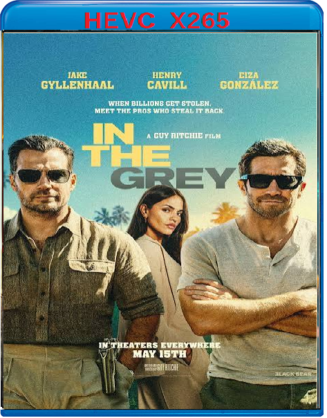 In the Grey (2026) mkv FullHD 1080p HEVC AC3 ITA ENG Sub