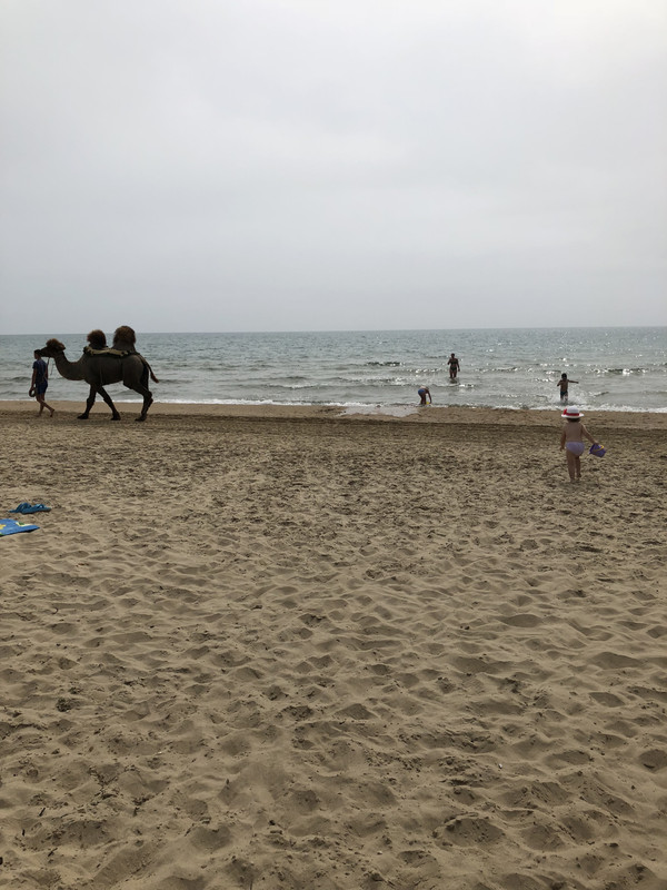 3DFBF1AD-A2B3-4E95-BB22-A0230B4B4152