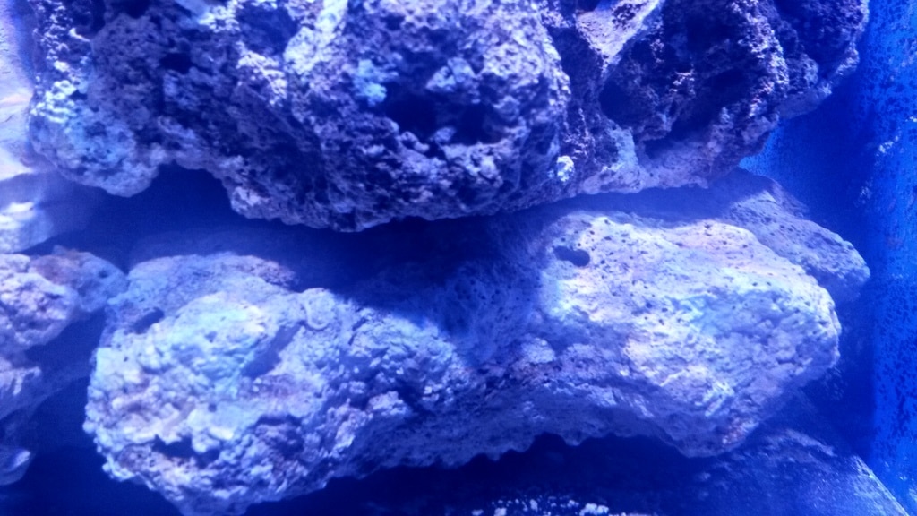 20161103_230006_Richtone(HDR)[1]