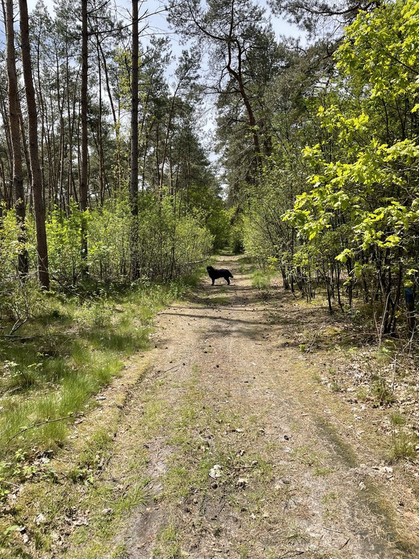 D224086B-861F-4EDA-8A31-7F48572BB286