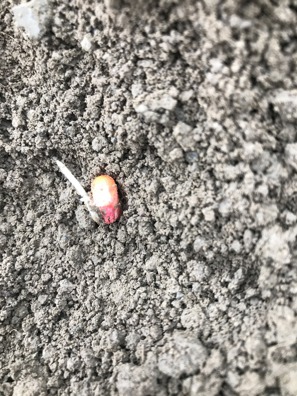 63B1BF26-3F96-480D-B28E-9D3B57047E91