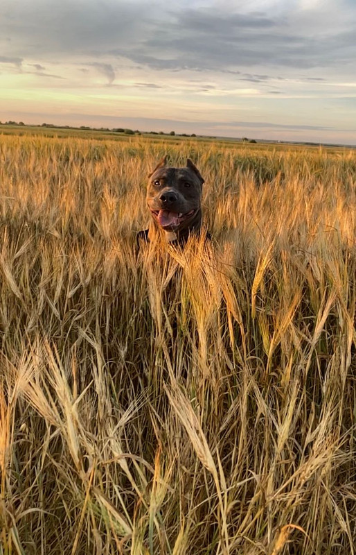 DF33895A-5D87-4B4E-9D4F-9549D22A481F