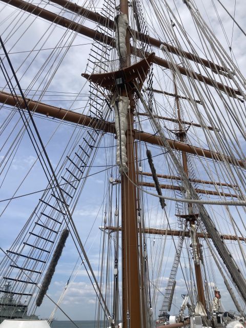 image00046 0