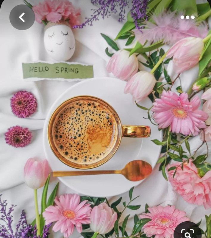 Screenshot_20230323_231943_Pinterest