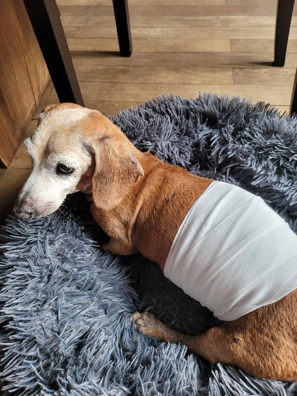 [Image: ACFE16-A9-E7-C6-4769-99-D5-B936-A3-E6-E72-F.jpg]