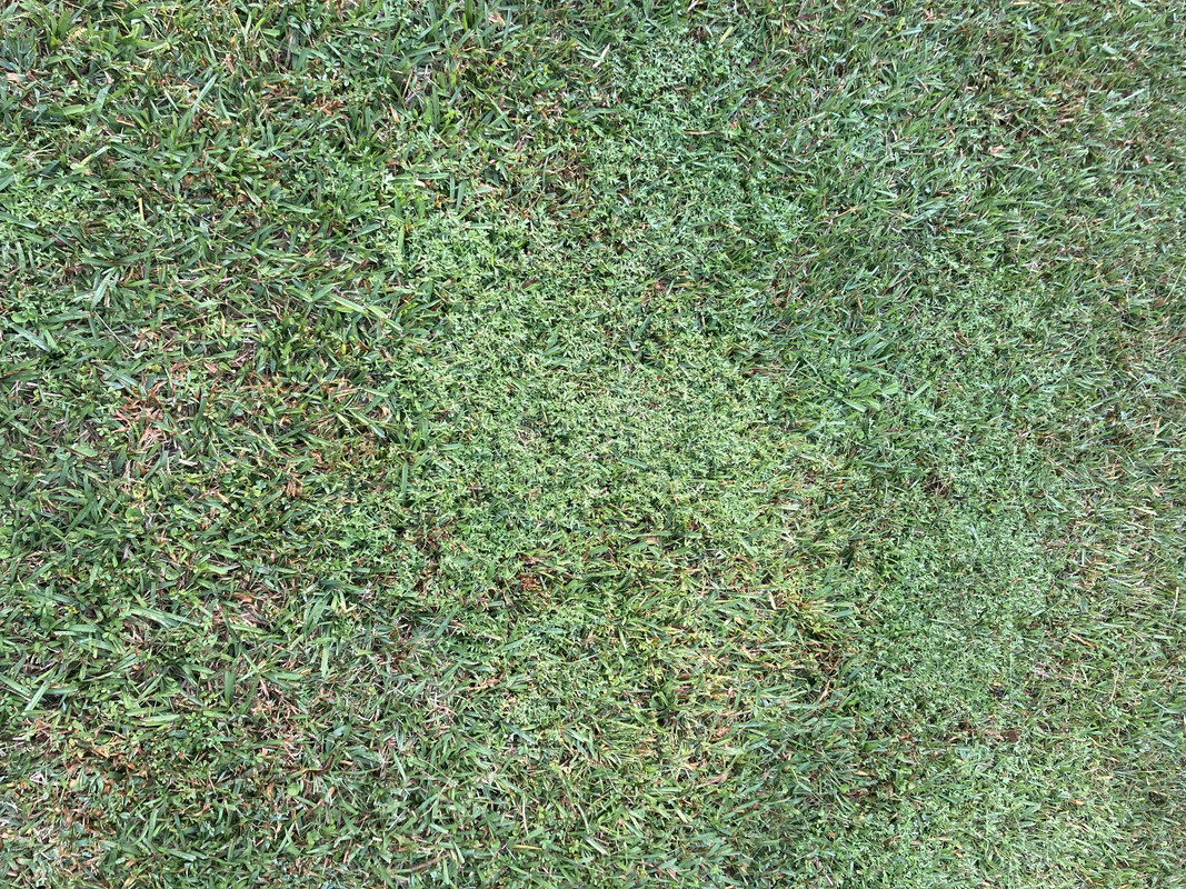 4021C5B5-9A27-4D1D-8870-58286E04C5A3